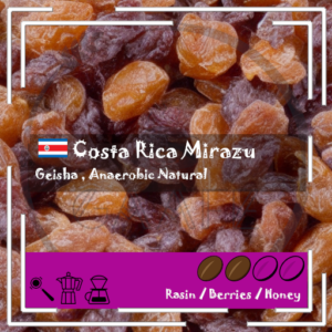Costa Rica - Mirazu Geisha / Anaerobic / Light Roast 200g