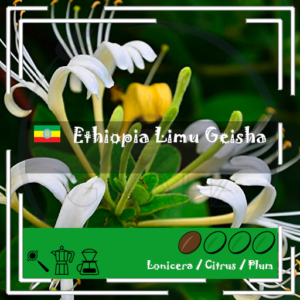 Ethiopia - Ethiopia Limu Geisha / Natural / Light Roast 200g
