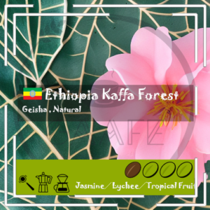 Ethiopia - Kaffa Forest Geisha / Natural / Light Roast 200g