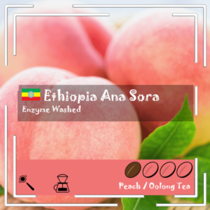 [Hot] Ethiopia - Ana Sora / Enzyme-washed / Light Roast 200g