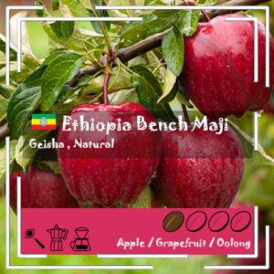 Ethiopia - Bench Maji Geisha / Natural / Light Roast 200g