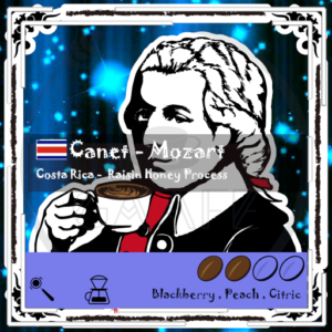 [Hot] Canet Musician Series - Mozart / Medium Light Roast 200g