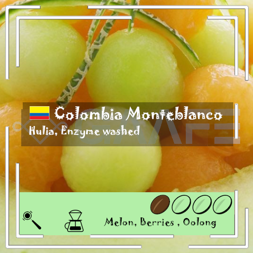 [New] Columbia - Monte Melon / Enzyme Washed / Light Medium Roast 200g