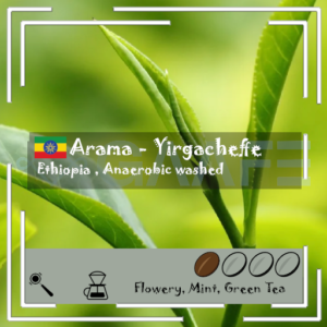 [New] Ethiopia - Arana Yirgacheffe / Anaerobic Washed / Light Medium Roast 200g